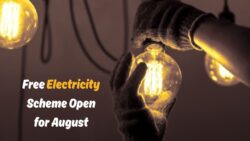 Free Electricity for Low-Income Households – Here’s How to Register in August