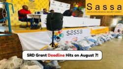 R350 SRD Grant Recipients Warned: 7 August is the Final Day to Submit Proof of Residence or Lose Payment
